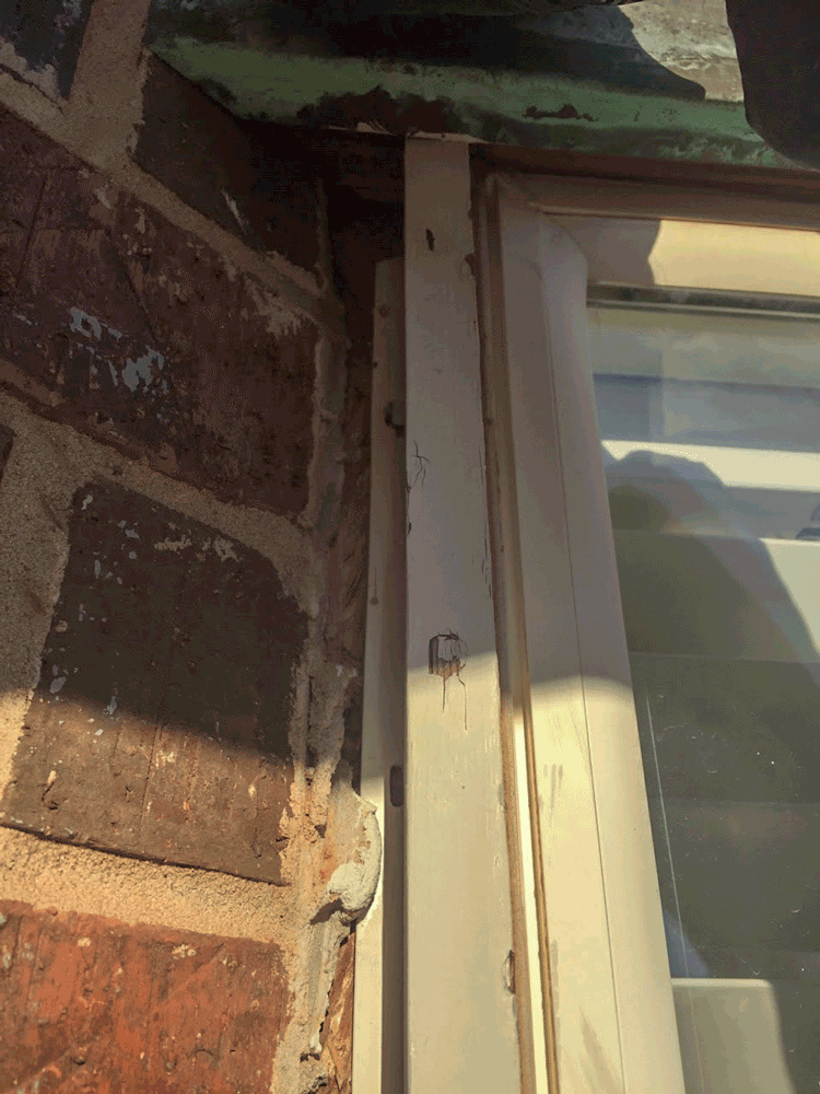 Repair of water-damaged windows