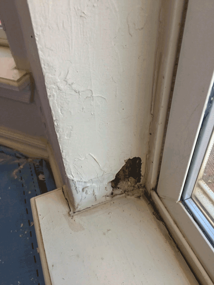 Repair of water-damaged windows